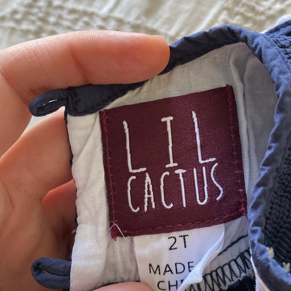 Lil Cactus Smocked Sleeveless Nativity Dress | Sz 2T - Picture 5 of 6